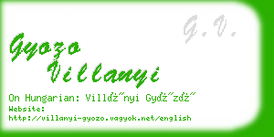 gyozo villanyi business card